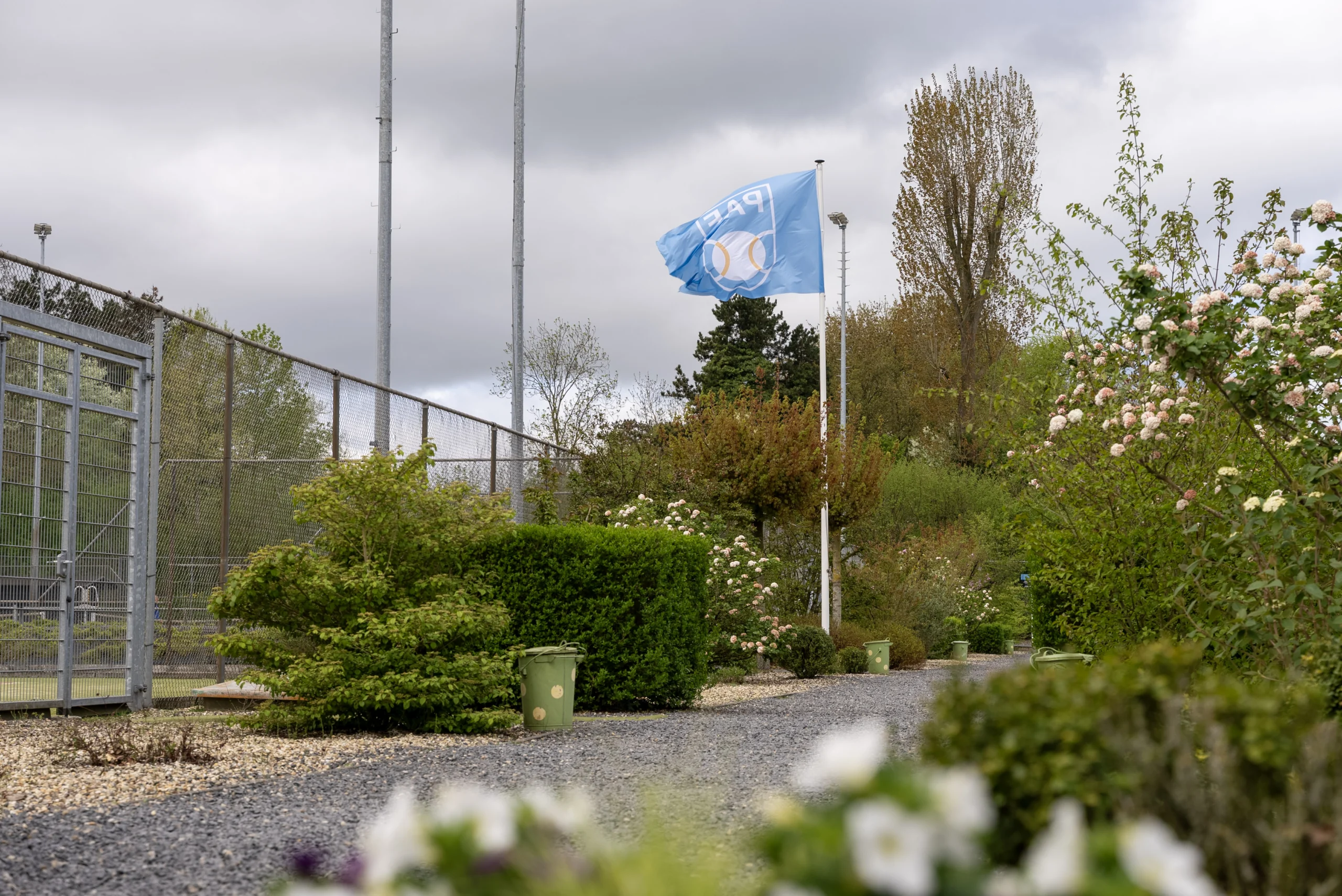 Het groene tennispark van TV PAF in Zwolle